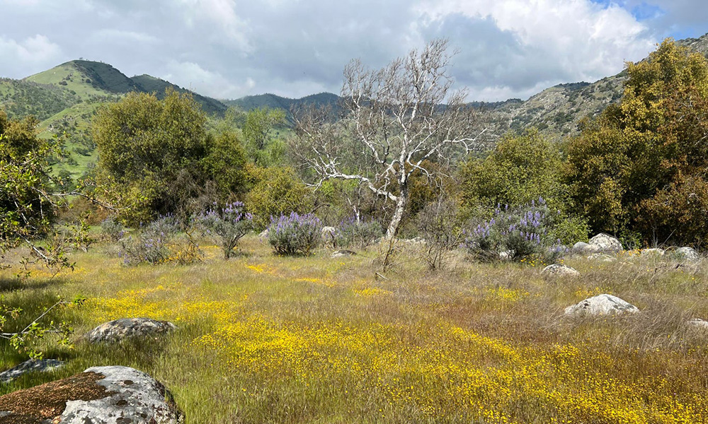 0 Sierra Drive, Three Rivers, CA 93271