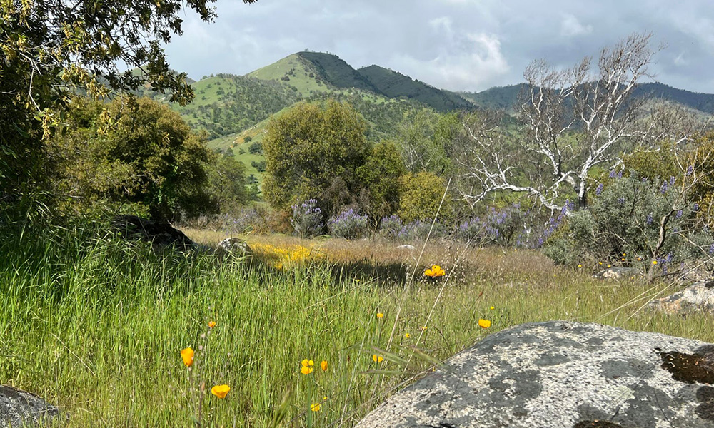 0 Sierra Drive, Three Rivers, CA 93271