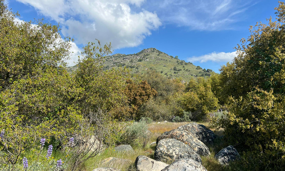 0 Sierra Drive, Three Rivers, CA 93271