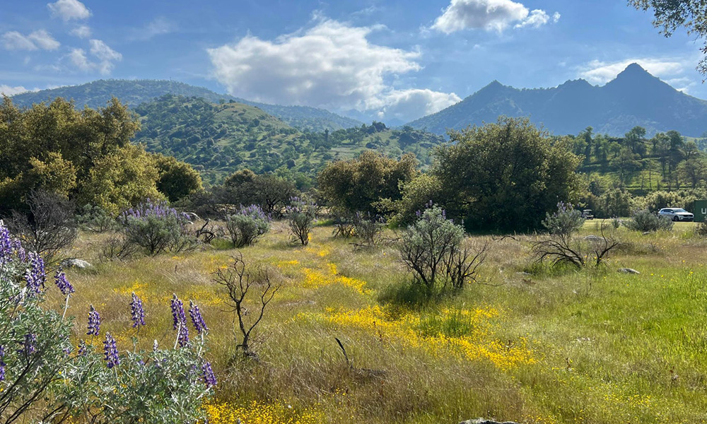 0 Sierra Drive, Three Rivers, CA 93271