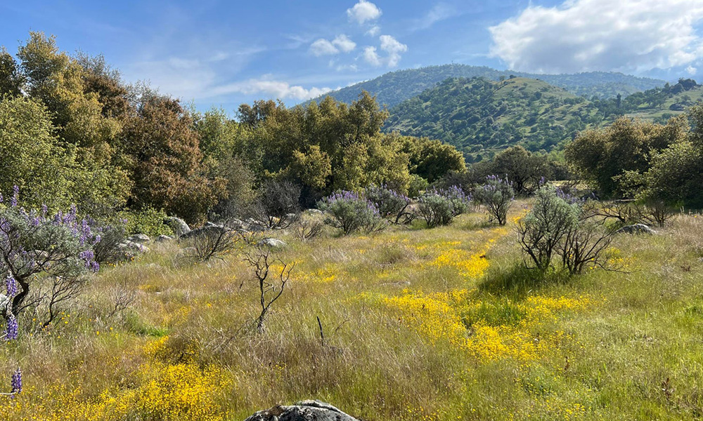 0 Sierra Drive, Three Rivers, CA 93271