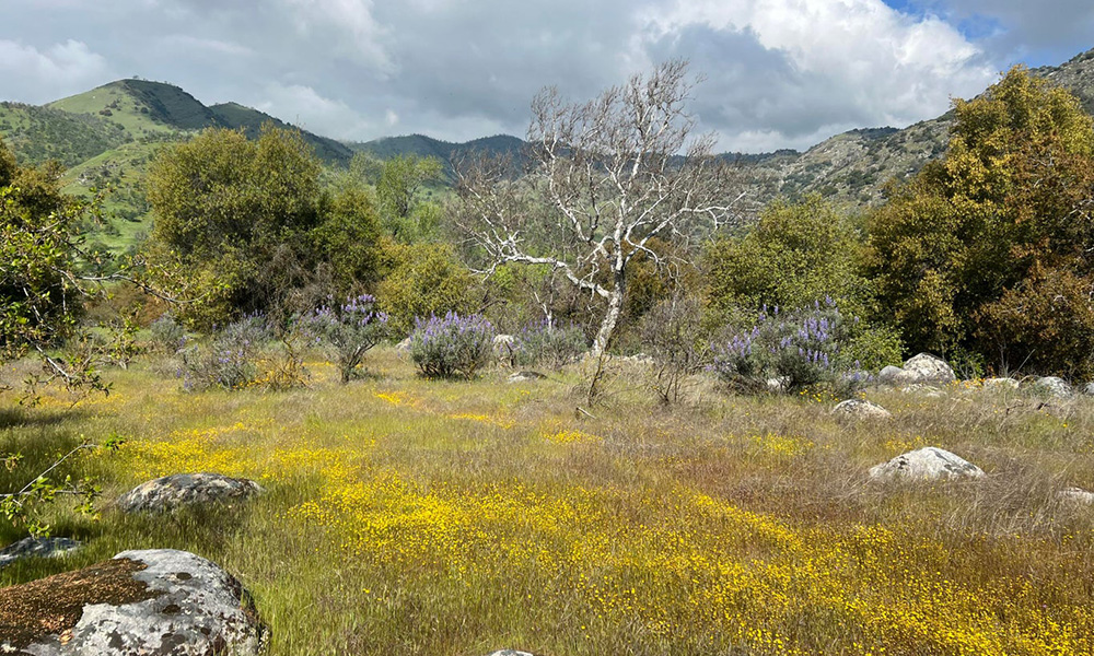 0 Sierra Drive, Three Rivers, CA 93271