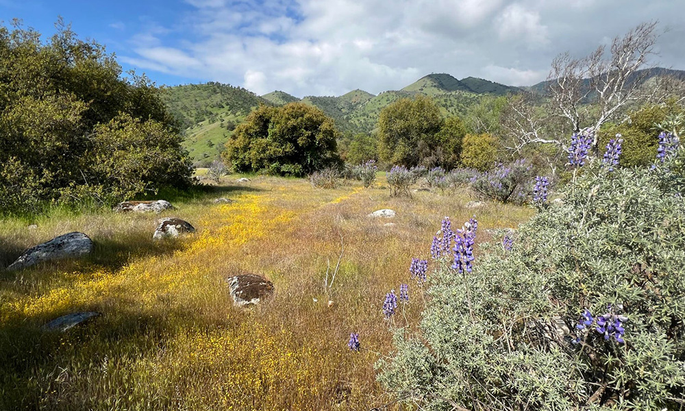 0 Sierra Drive, Three Rivers, CA 93271