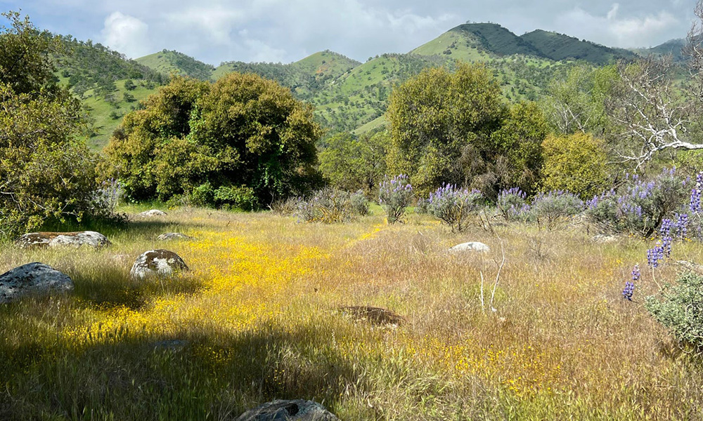 0 Sierra Drive, Three Rivers, CA 93271