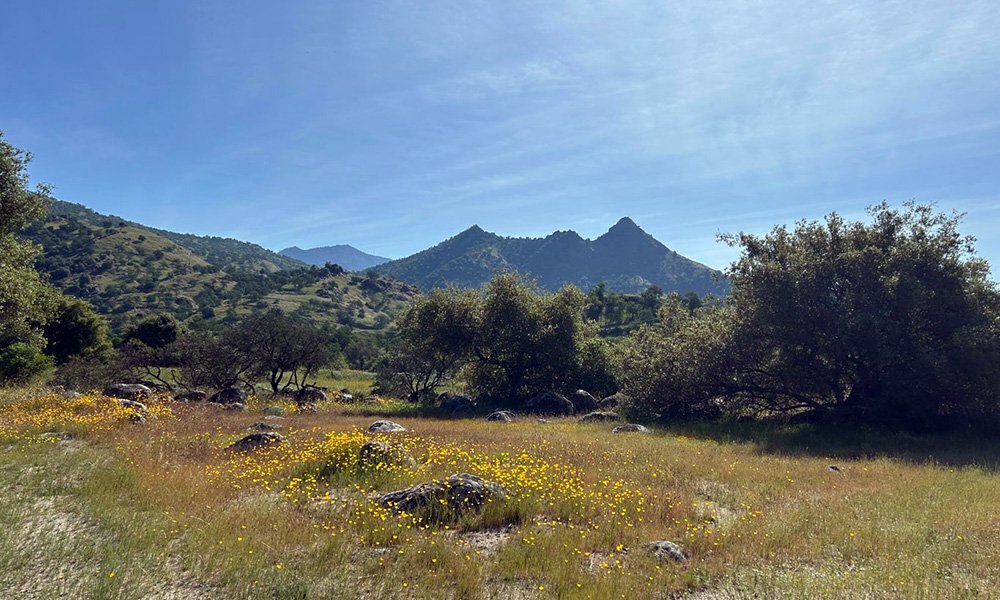 0 Sierra Drive, Three Rivers, CA 93271