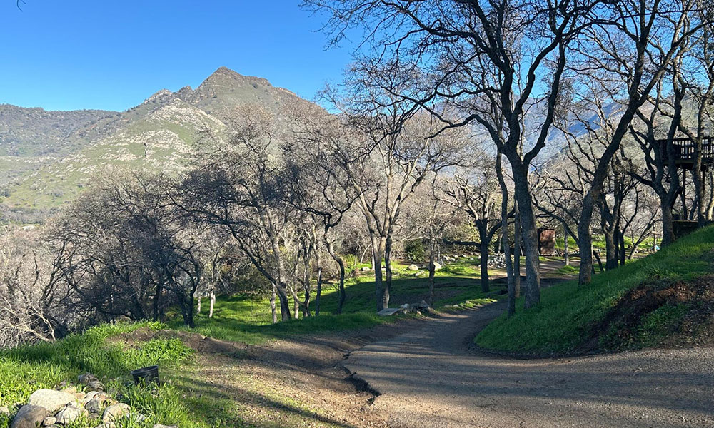 40838 Oak Ridge Dr, Three Rivers, CA 93271