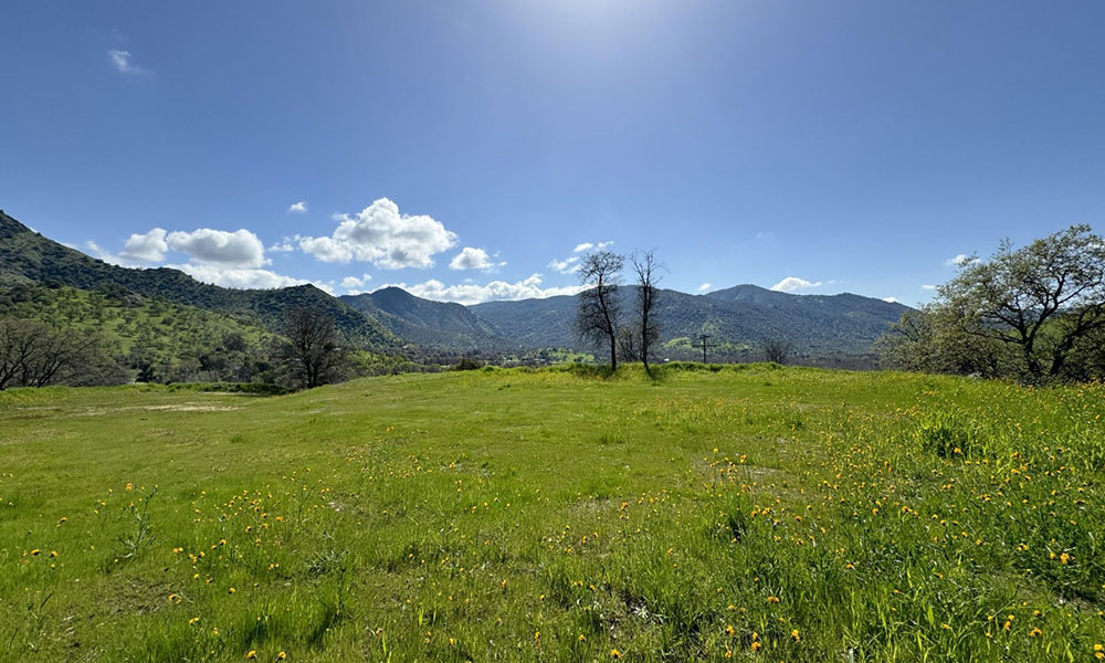 41333 Sierra Drive, Three Rivers, CA 93271