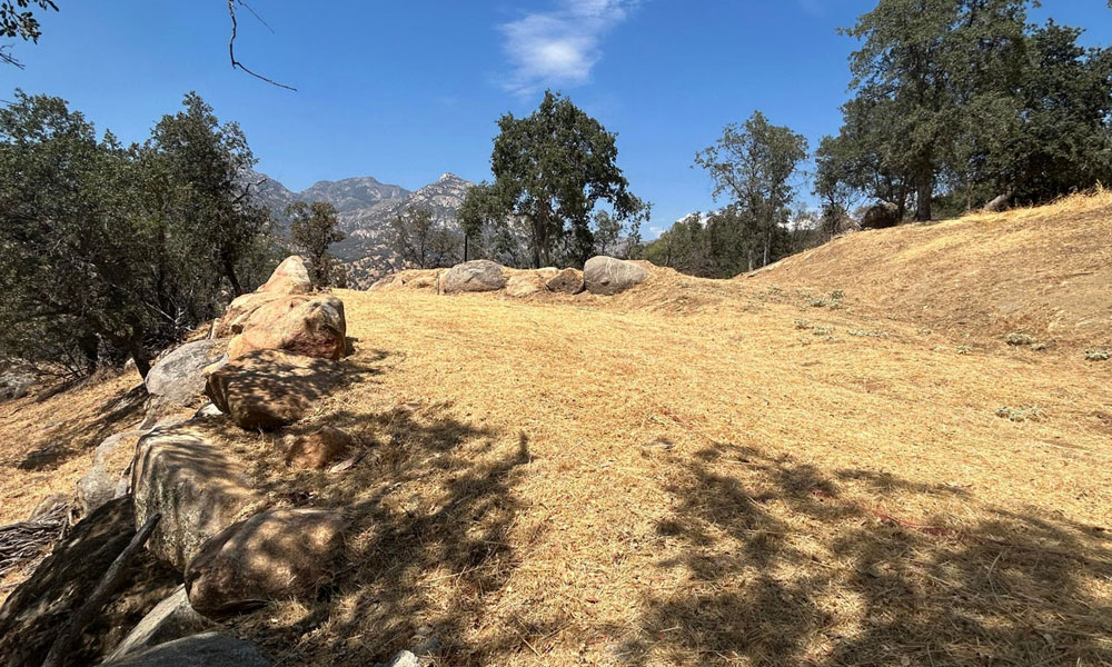 Oak Grove Drive, Three Rivers, CA 93271