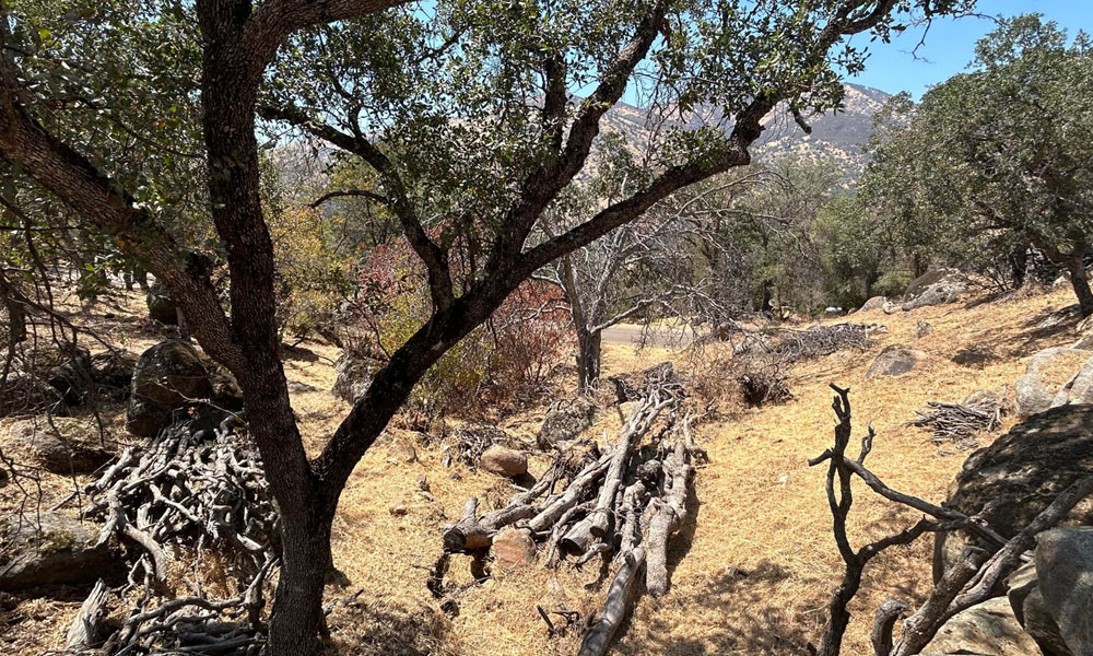 Oak Grove Drive, Three Rivers, CA 93271