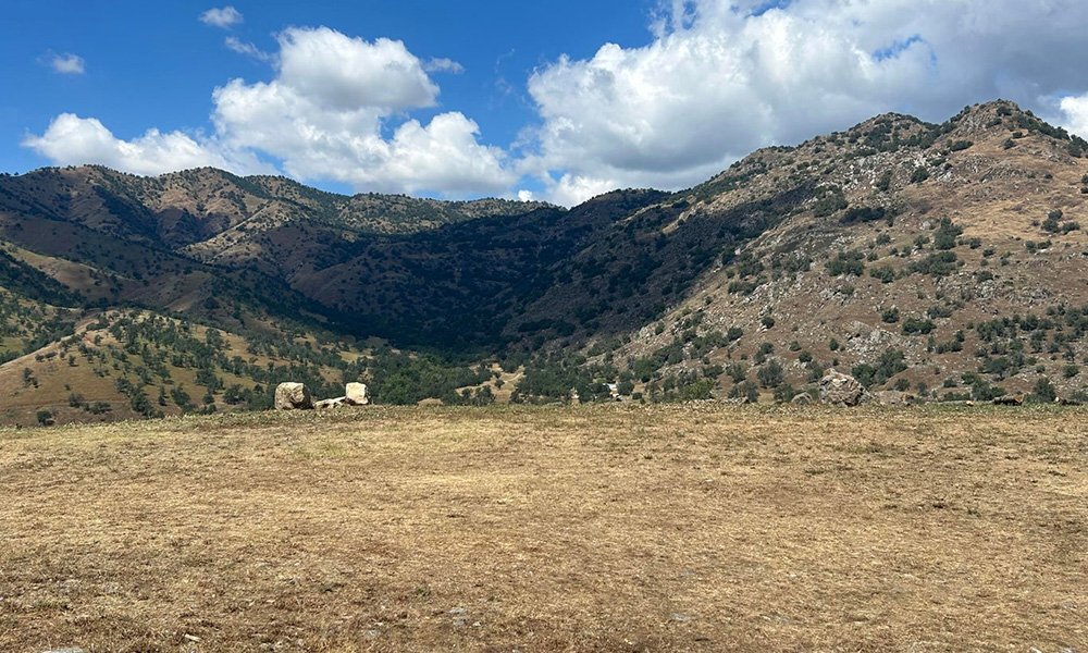 Sierra Drive, Three Rivers, CA 93271